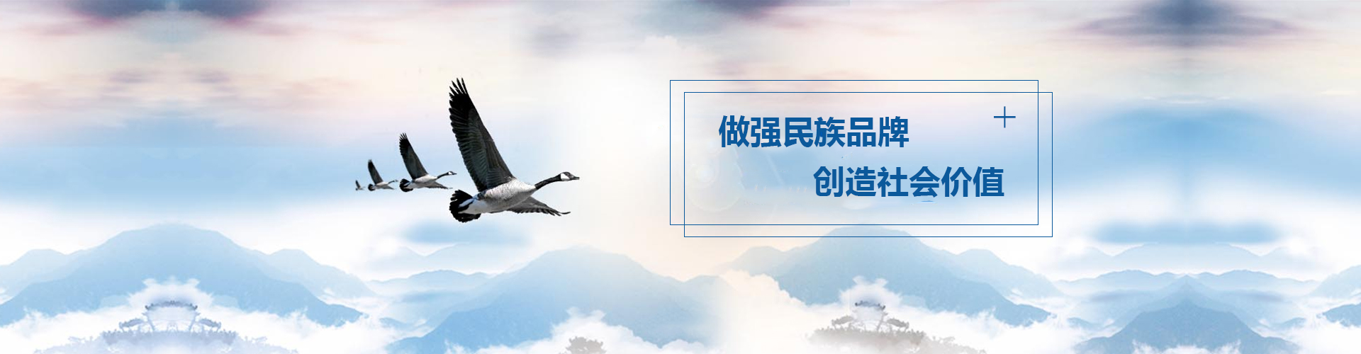 山東泰安東岳泰山衡器有限公司